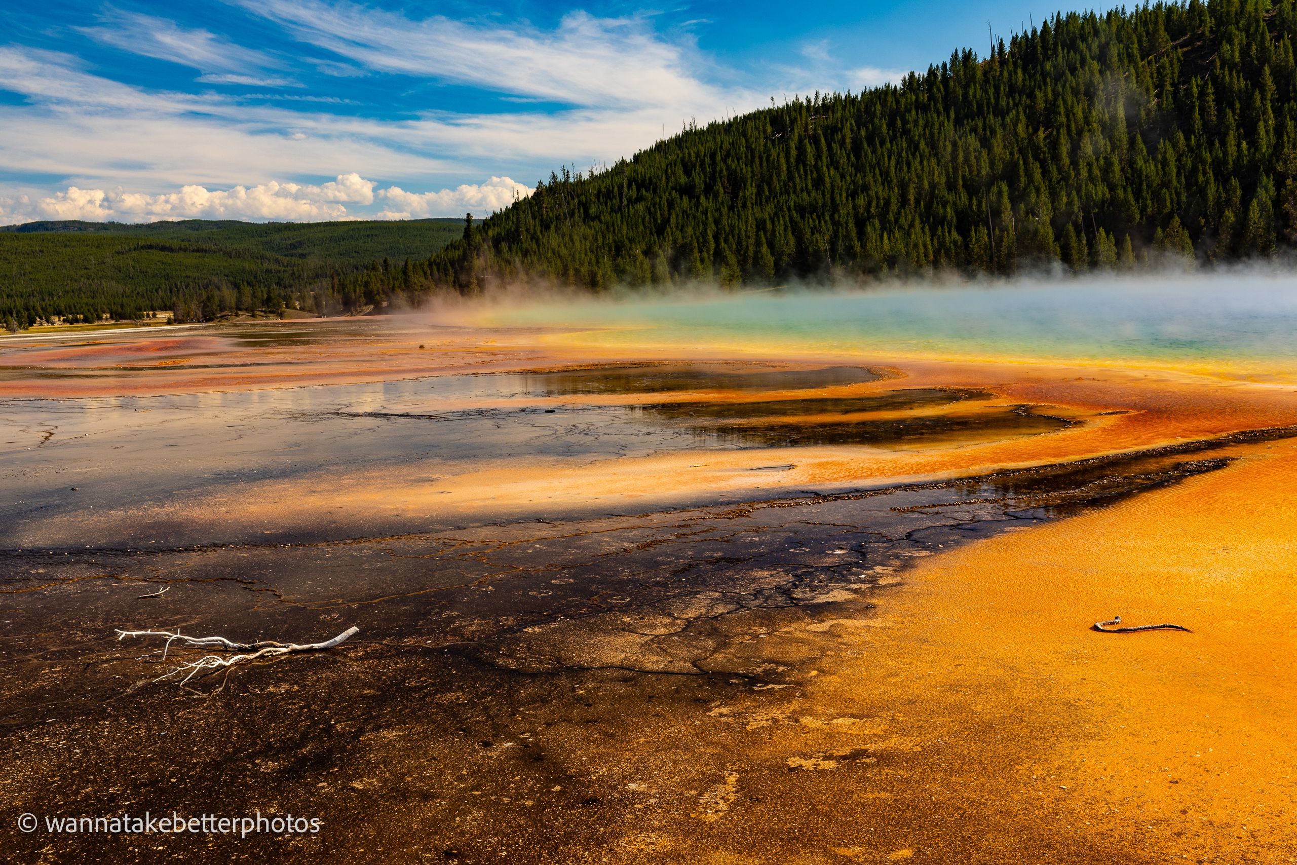 Orange microbial mats and blue-green water at Grand Prismatic Spring, with steam drifting below a forested hillside and blue afternoon sky