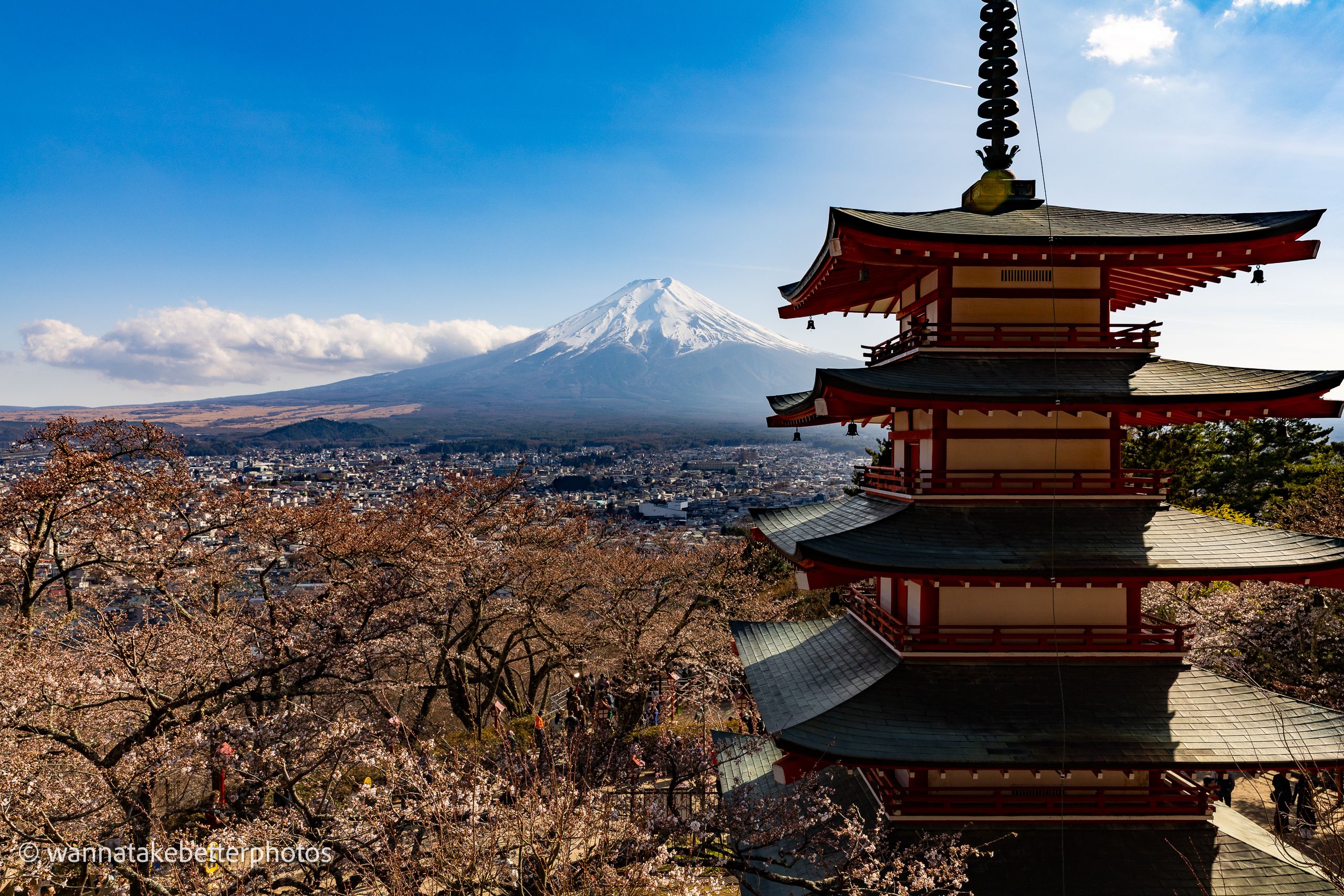 Snow-covered Mount Fuji beyond a city and cherry trees beginning to bloom, with a red pagoda filling the right foreground